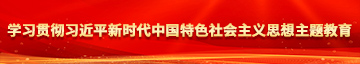 美女啪啪的网页学习贯彻习近平新时代中国特色社会主义思想主题教育